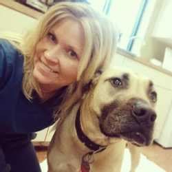 soma animal hospital|About Our Veterinary Hospital .